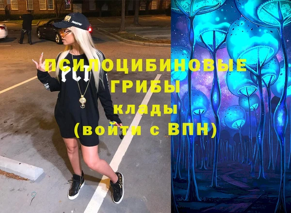 сатива Верхнеуральск