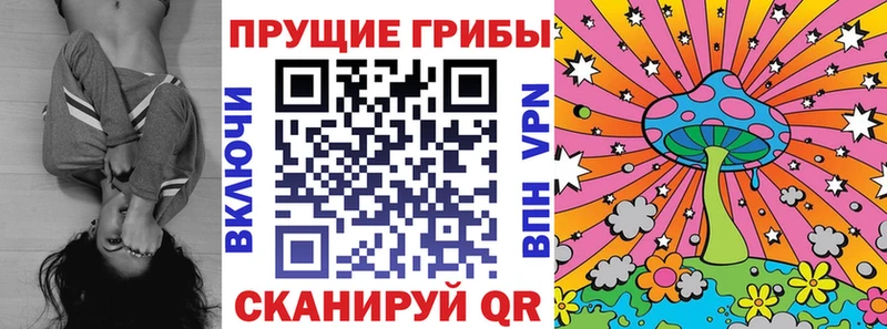 Псилоцибиновые грибы MAGIC MUSHROOMS  Купить где  Кедровый 