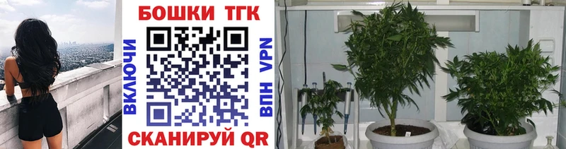 Бошки марихуана MAZAR Купить где Кедровый